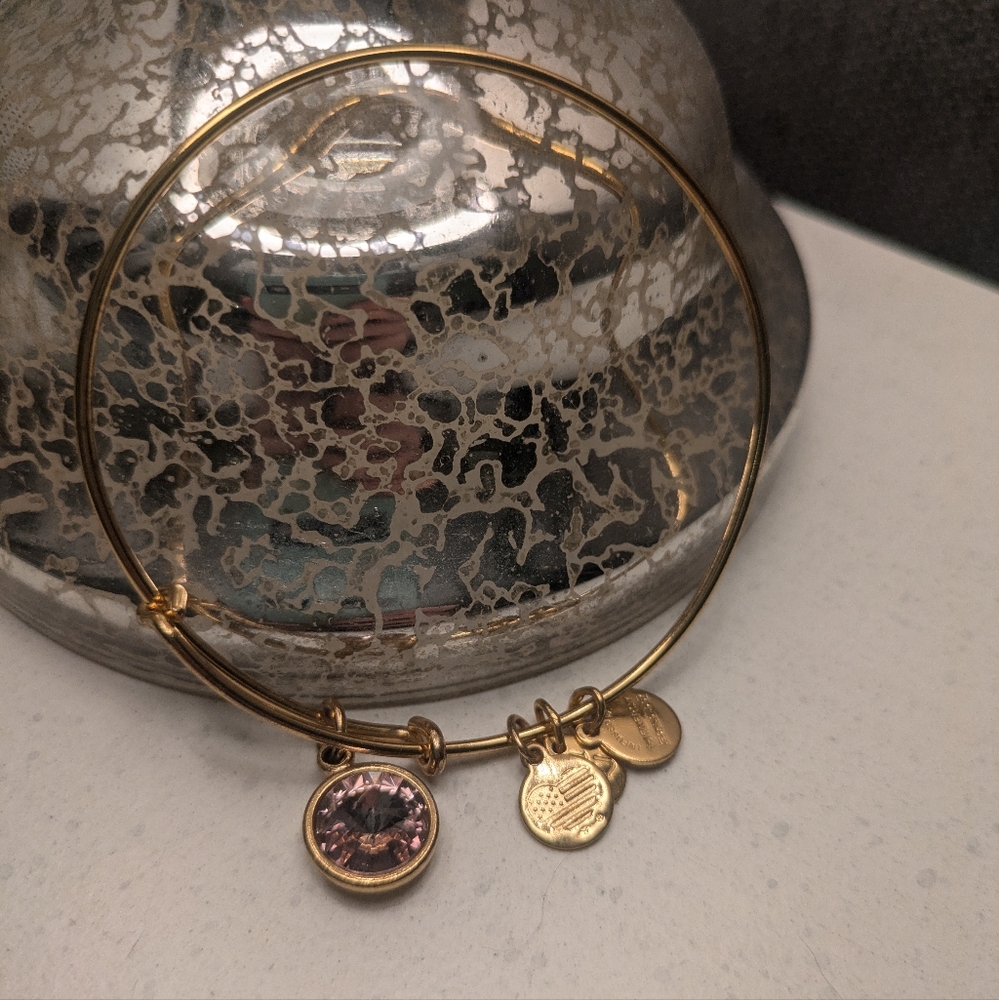Alex and Ani Gold Charm Bracelet with Pink Crystal Accent